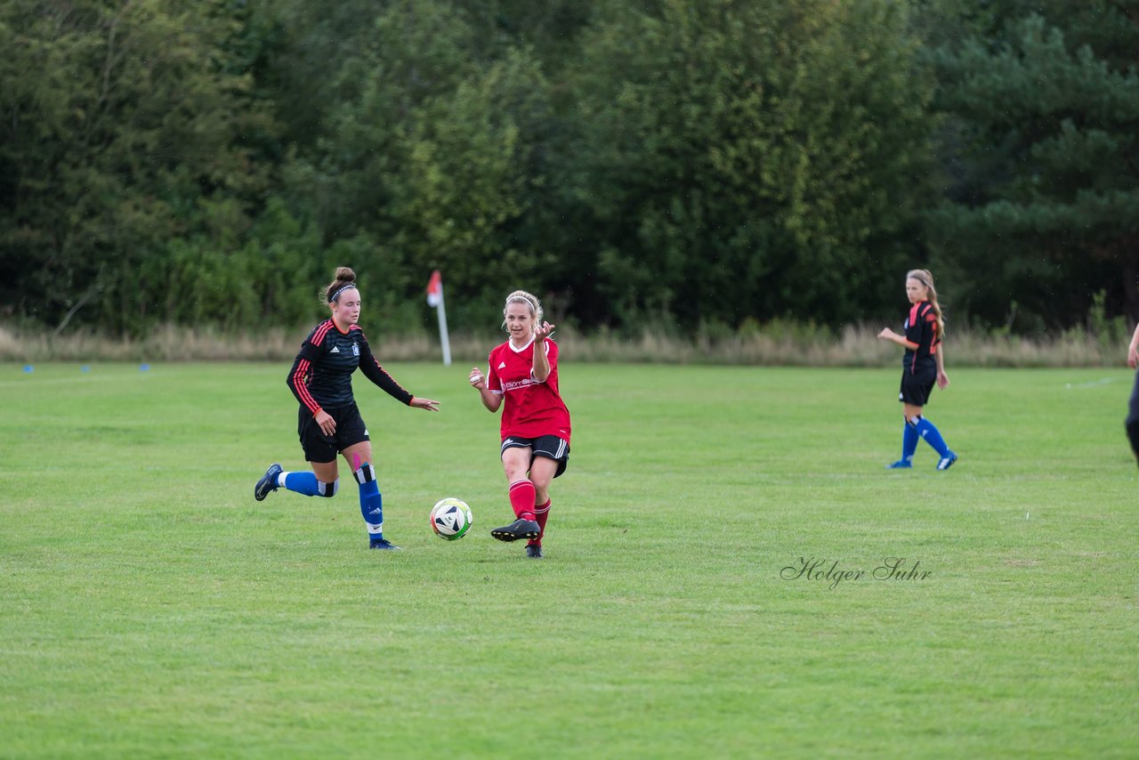 Bild 273 - Frauen SG NieBar - HSV 2 : Ergebnis: 4:3